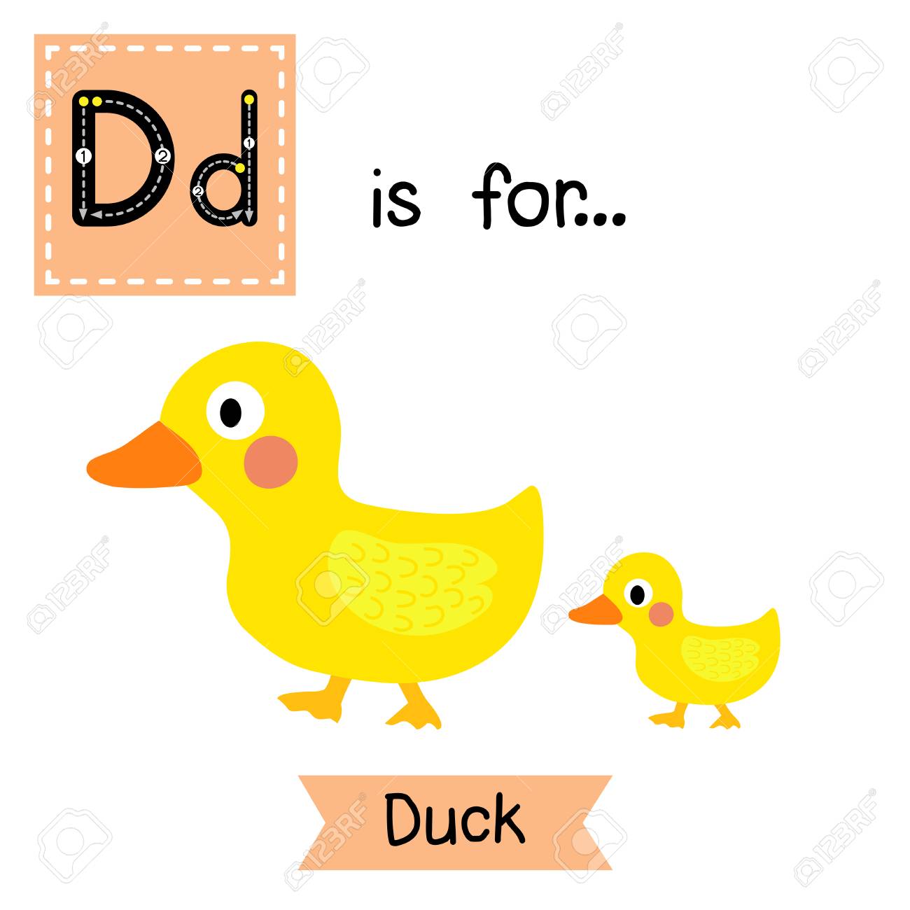 Dan